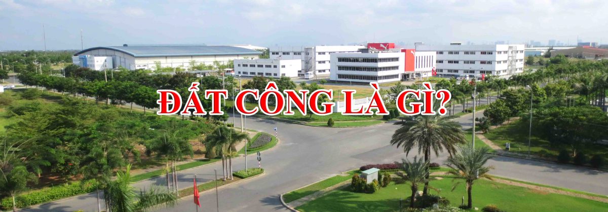 Kcn Long Hau 1