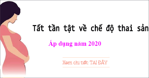Che Do Thai San Nam 2020