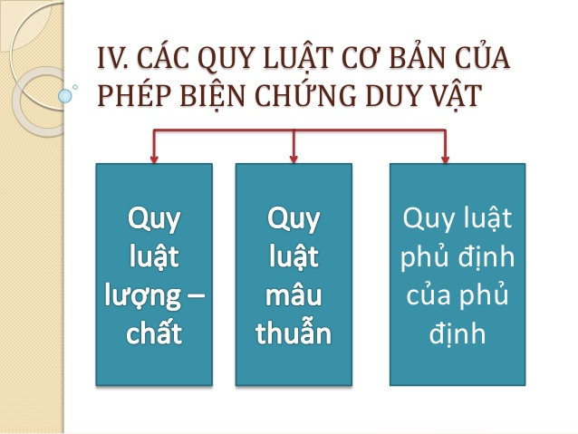 Ba Quy Luat Co Ban Cua Phep Bien Chung Duy Vat