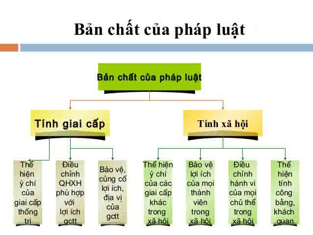 Ban Chat Cua Phap Luat La Gi