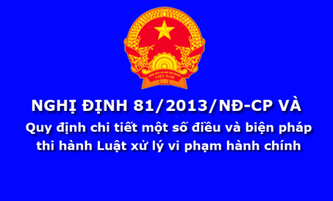 Nghi Dinh Huong Dan Luat Xu Ly Vi Pham Hanh Chinh