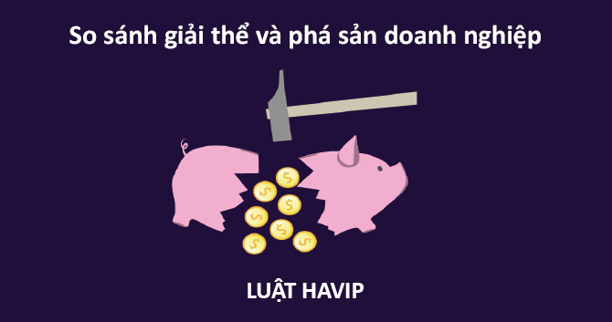 So Sanh Giai The Va Pha San Doanh Nghiep