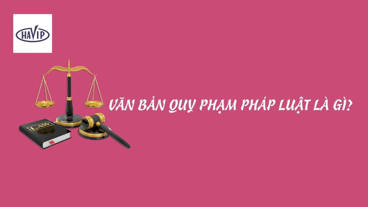 Van Ban Quy Pham Phap Luat La Gi Anh Minh Hoa