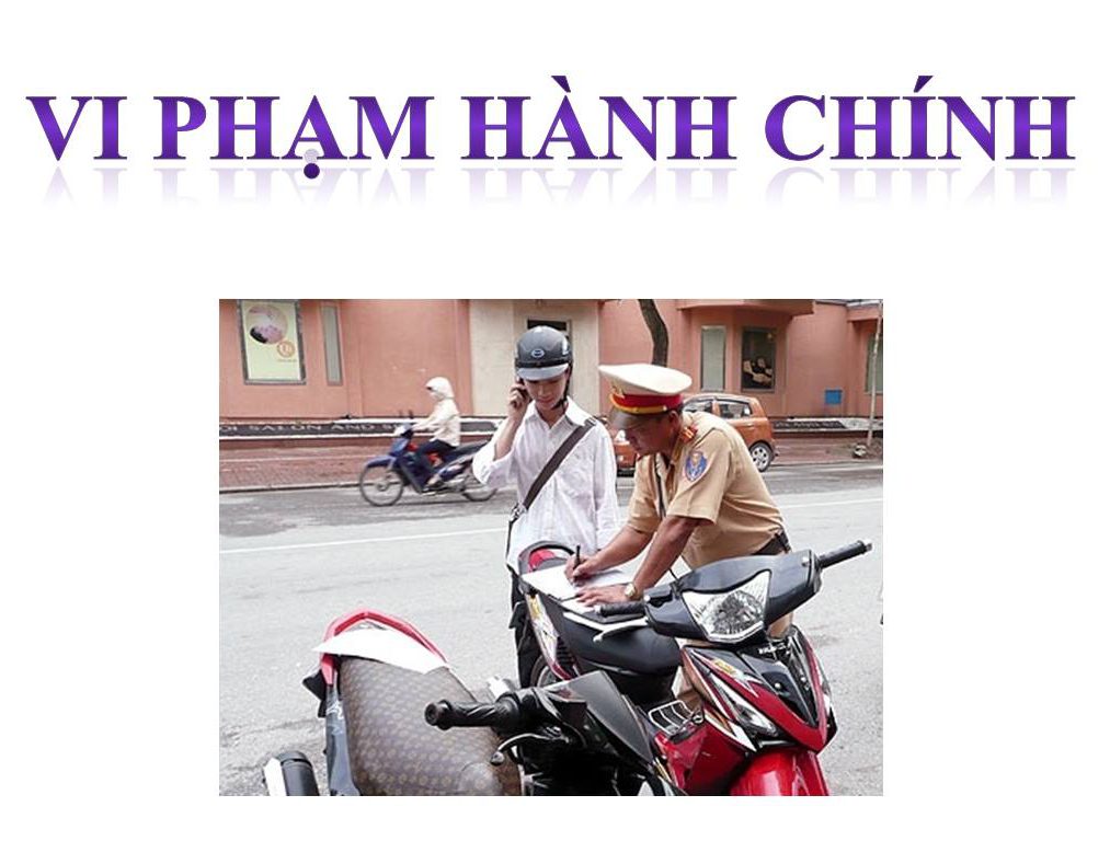 Vi Pham Hanh Chinh