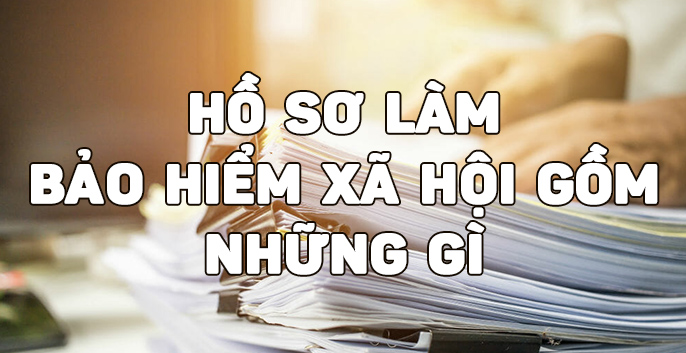 Ho So Lam Bao Hiem Xa Hoi Gom Nhung Gi