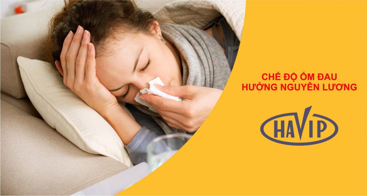 Che Do Om Dau Huong Nguyen Luong Nam 2020 Nhu The Nao