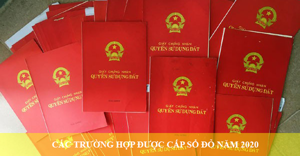 Co Toi 15 Truong Hop Duoc Cap So Do Nam 2020