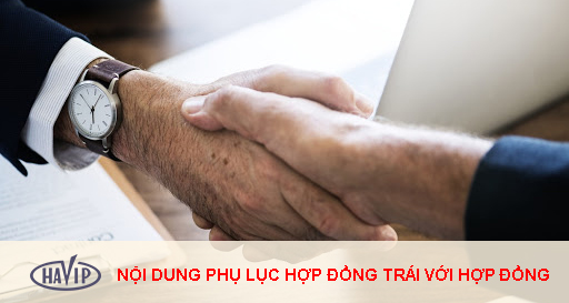 Noi Dung Phu Luc Hop Dong Trai Voi Hop Dong Thi Phai Lam Sao