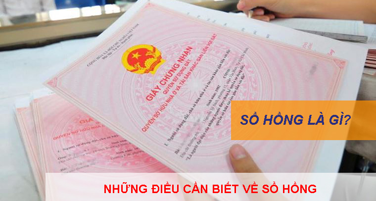 So Hong La Gi Nhung Dieu Can Biet Ve So Hong 1